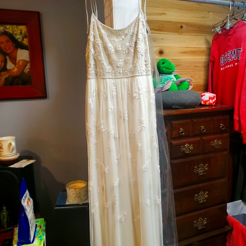 Adrianna Papell dress
